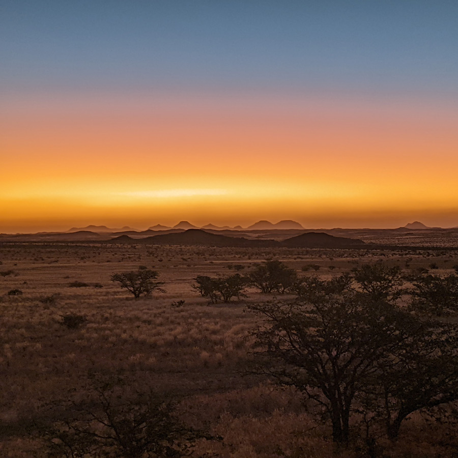 ORANGE-GARDEN-installations-lumineuses-copyright-TEMPORAL-LEHOUX--google2